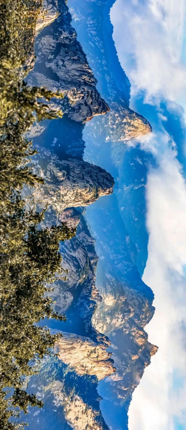 成年人玩得這麼野，小心把命都玩丟了