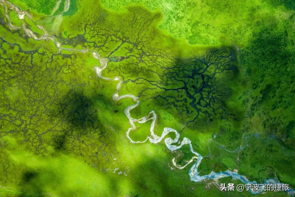 美國黃石的13倍！我國首批國家公園正式官宣，驚豔世界的風景來了