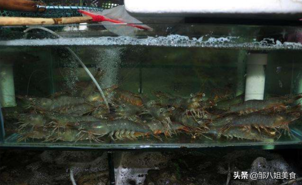 這“4種蝦”質量很差,多便宜都不要買!很多人常買錯,快來看看 這“4種蝦”質量很差,多便宜都不要買!很多人常買錯,快來看看