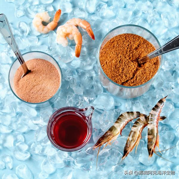 南極磷蝦：來自海洋的可持續性解決方案