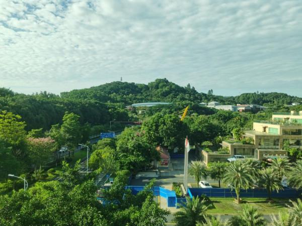 回國隔離日記——第八天 回國隔離日記——第八天