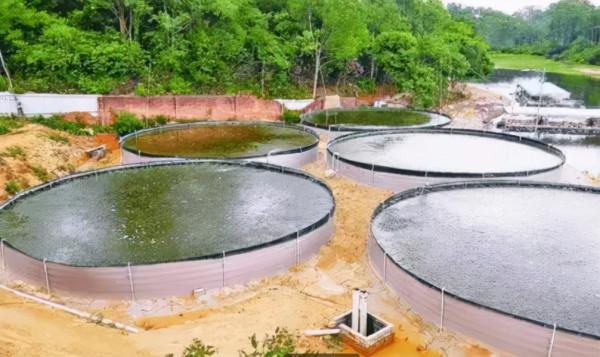 到底網箱養魚好?還是在帆布池養魚好?你會選擇哪種方式? 到底網箱養魚好?還是在帆布池養魚好?你會選擇哪種方式?