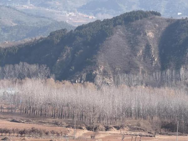 密雲水庫吃水庫魚