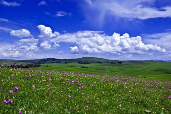 新疆一個“超大”景區，面積堪比一個城市，裡面卻不允許開車