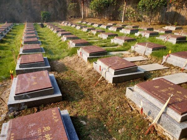 陣亡將士紀念日,勿忘每一位革命先烈的負重前行 陣亡將士紀念日,勿忘每一位革命先烈的負重前行