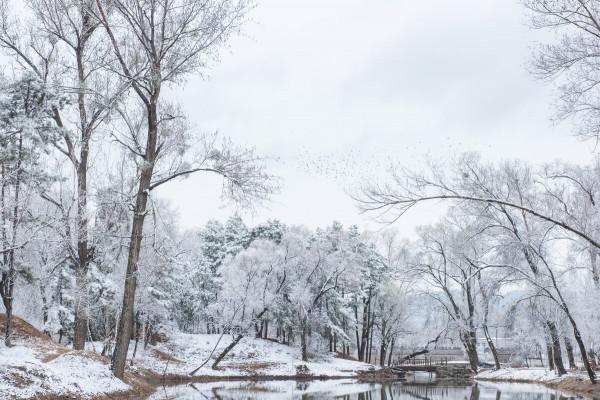 連續被貶官,最終被外放到蠻荒海島,蘇軾還能活到65歲,何故也? 連續被貶官,最終被外放到蠻荒海島,蘇軾還能活到65歲,何故也?