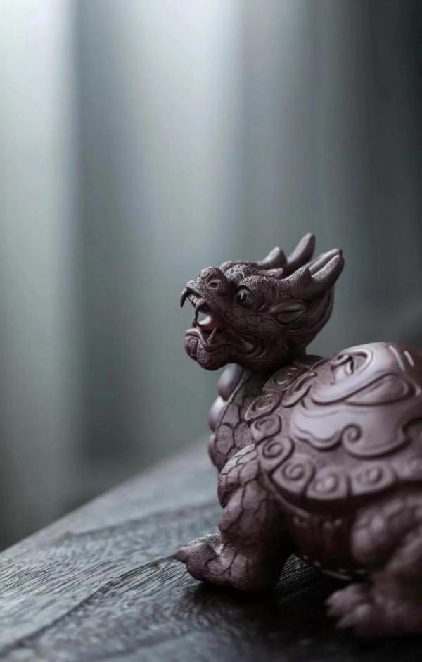 火焰龍龜，見過嗎？