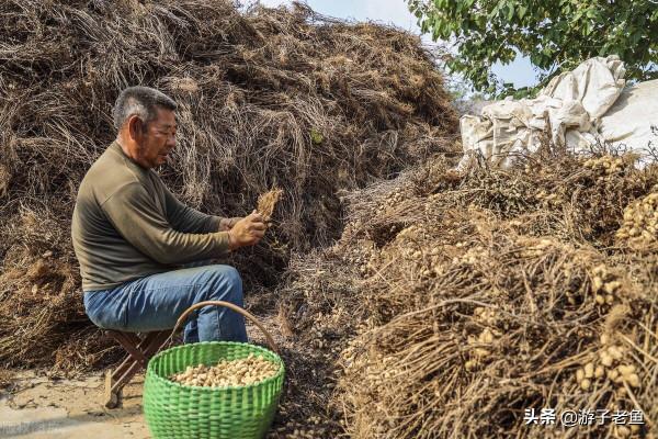 中秋節，今夜請不要哭泣
