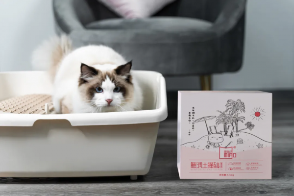 別人家的寵物店9月選品日直播觀眾數創新高