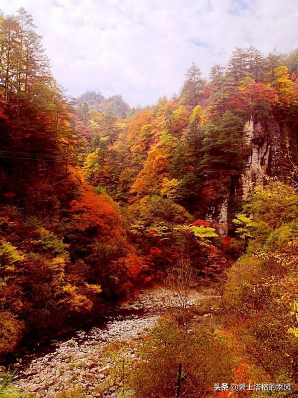 中國最美的10個紅葉景區,每一個都美到極致,你去過幾個? 中國最美的10個紅葉景區,每一個都美到極致,你去過幾個?