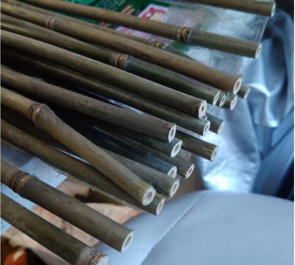 釣鯰魚技巧大揭秘!6大釣法,5大釣點,2個注意事項 釣鯰魚技巧大揭秘!6大釣法,5大釣點,2個注意事項