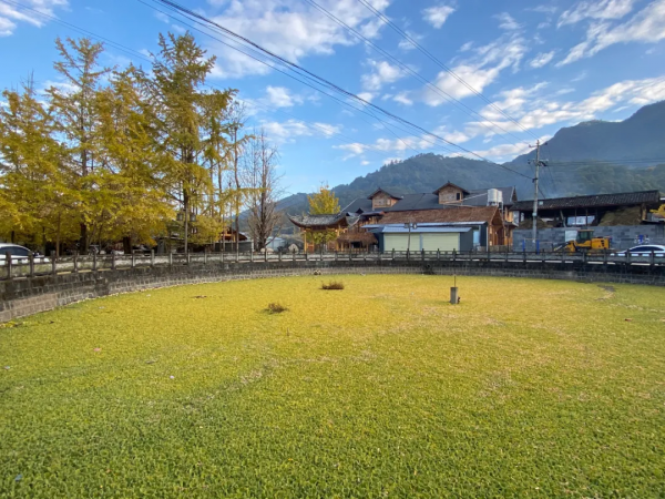 《12月限定丨國內旅行目的地指南》