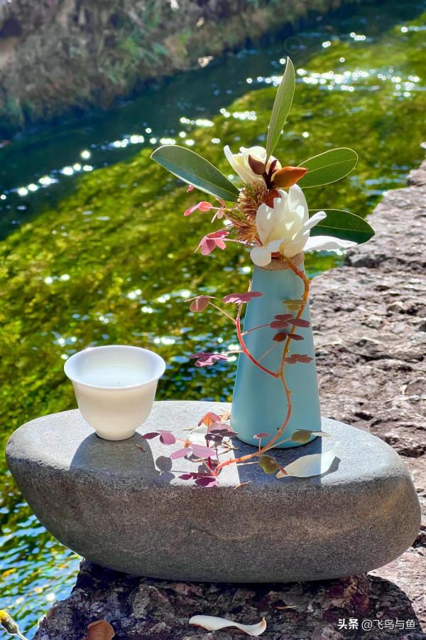 地上不夠耍要上房頂