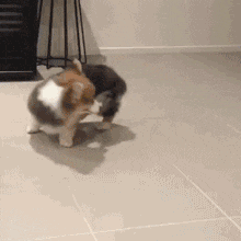 眼力測試！如果你從圖中看到的是一群人，那趕緊去看醫生吧