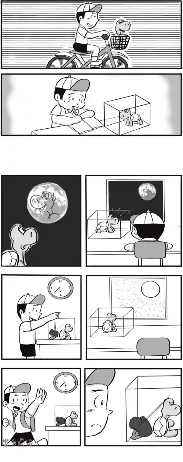 我和烏龜（漫畫）