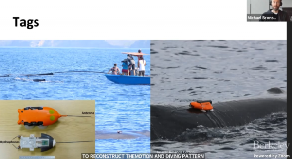 像電影《降臨》那樣，科學家正在打造跨物種語言的“羅塞塔石碑”