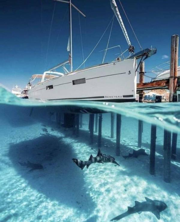 33張照片,剖開物體,或者換個角度看看!會發現又酷又有趣 33張照片,剖開物體,或者換個角度看看!會發現又酷又有趣