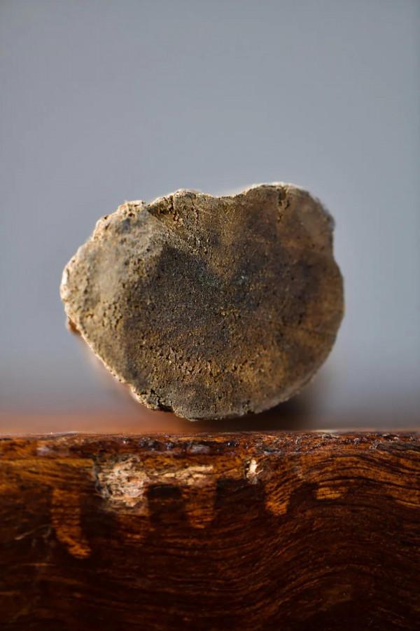 印尼沉香｜橫財