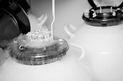 定容冷凍，“凍”住最新鮮