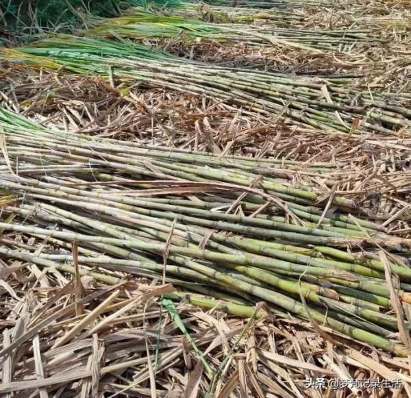 你算我也算，算來算去看誰打得一手如意好算盤……