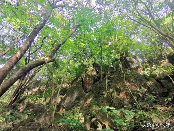 廣東粵北有座道觀，全國唯一一處以“福”字命名，其景觀更是一絕