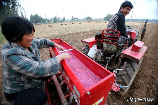 小麥底肥、追肥，用什麼肥料好？每畝用量多少？照著配方做就行