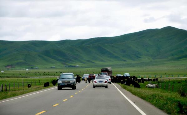 自駕遊建議帶這幾種物品,不起眼卻很有用 自駕遊建議帶這幾種物品,不起眼卻很有用