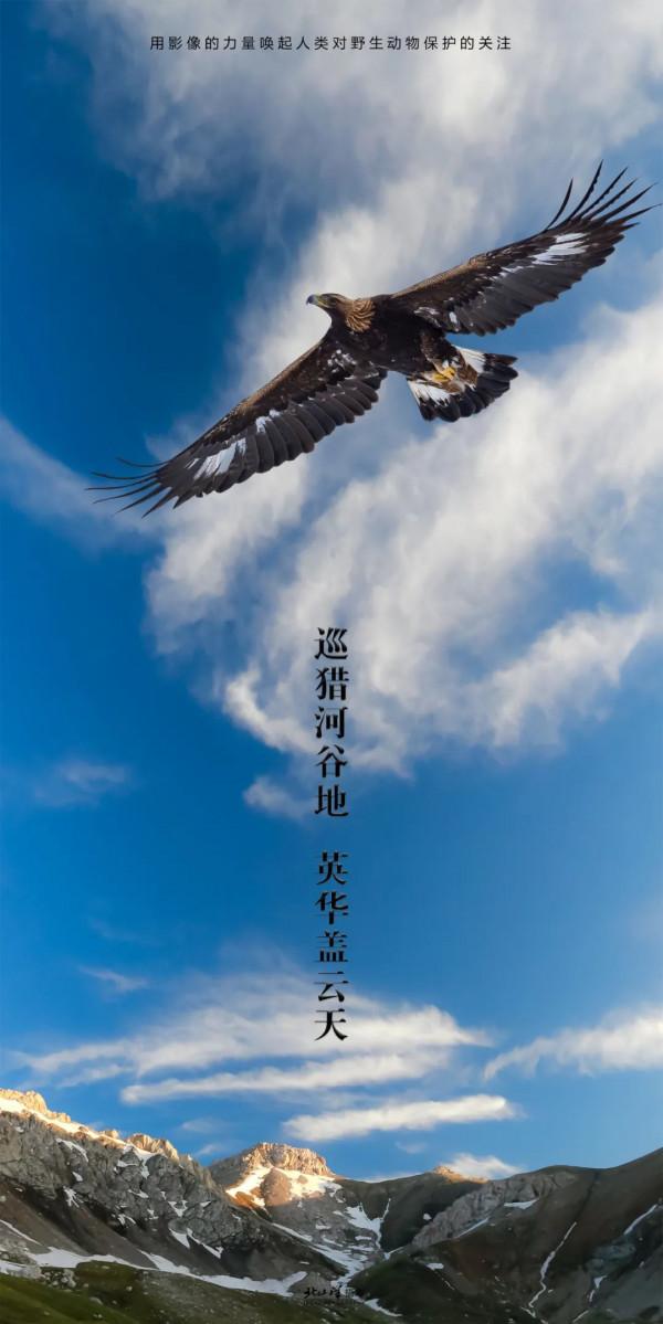 深冬,到新疆觀鳥,會有想不到的驚喜 深冬,到新疆觀鳥,會有想不到的驚喜