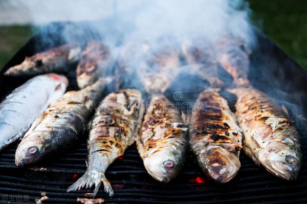 縱然養貓千百種，不養大橘空遺憾 2、和大橘的吻頸之交