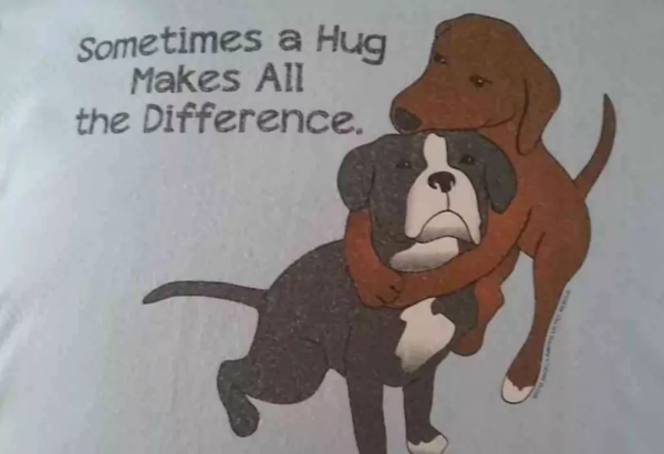 兩隻狗狗，被執行安樂死前，緊緊抱在一起，這一抱，徹底改變了命運