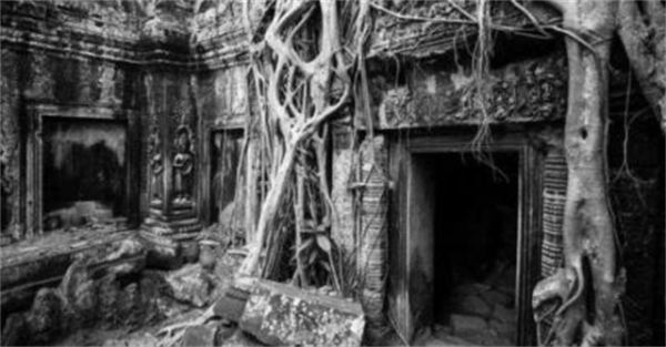 1983年，寧夏發現千年古墓，考古隊挖到一半後塌方，緊急撤離