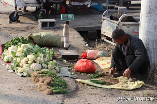 深秋時的蘇北鄉村集市:看了超親切,我一張也不捨得刪除 深秋時的蘇北鄉村集市:看了超親切,我一張也不捨得刪除