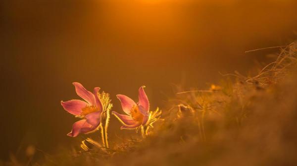 當一個人，變得喜歡“獨來獨往”，多半是這3種心態