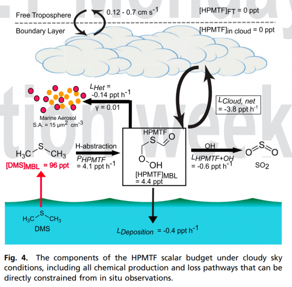 雲的產生有賴於海洋生物，但已有的雲會阻礙新雲的形成