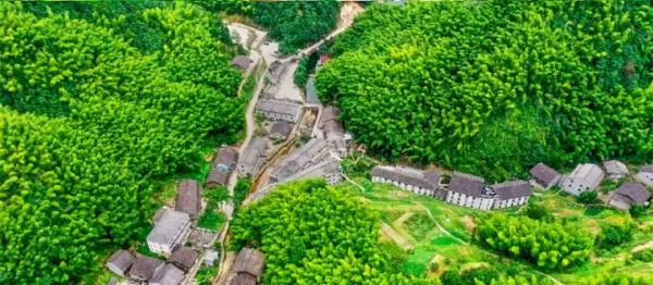 是不是坑,踩過才知道!深藏在浙裡的好去處,有一個共同點 是不是坑,踩過才知道!深藏在浙裡的好去處,有一個共同點