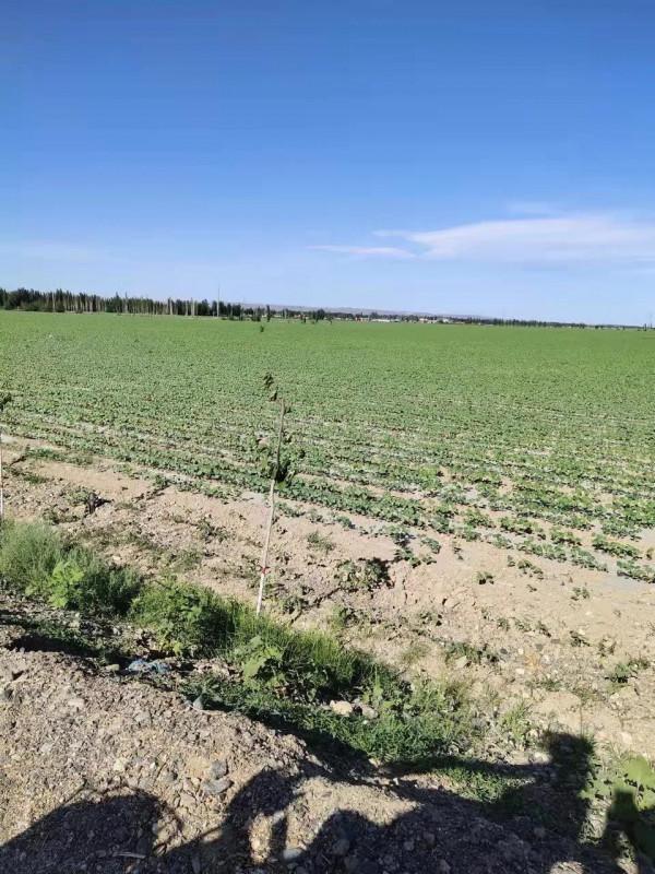 老朋友，10年未見了，你過得還好嗎