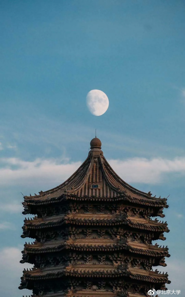 《奇女子,樂黛雲》 《奇女子,樂黛雲》