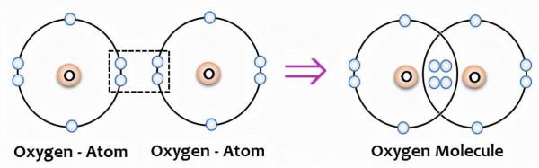 為什麼我們叫碳基生命？因為一切生命物質都是基於碳元素搭建