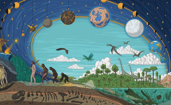 第一個原始人長啥樣？150萬年前的化石，或改寫“走出非洲”理論