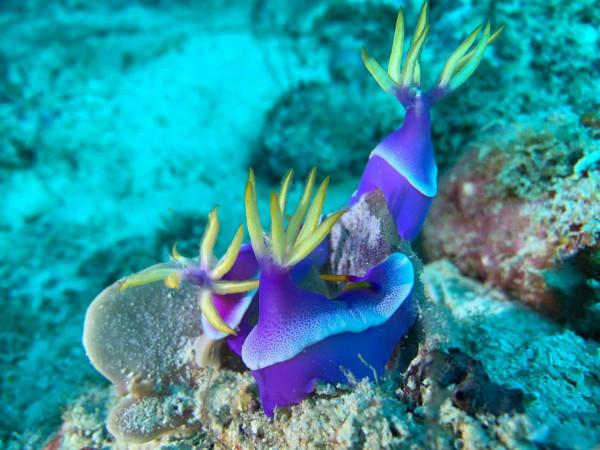 2021-11-12 2021-11-12