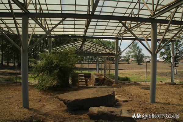 中國黑龍江發現一墓，內有10餘具人骨，韓國人上心日本人關注