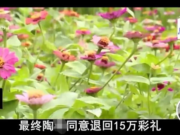 湖南一男子結婚花17萬，孩子卻非親生，妻子：人太多不知道是哪個