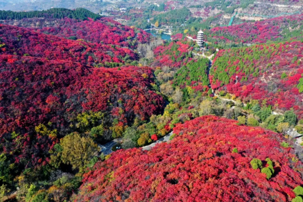 人間朝暮 紅葉是秋