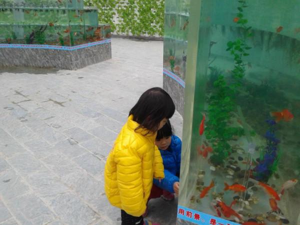 五彩田園，美麗的田園