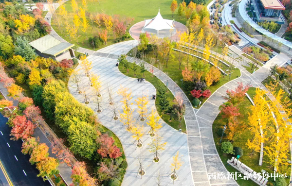 這樣的西鹹新區,愛了! 這樣的西鹹新區,愛了!