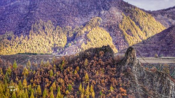 論奇石,我就服長白山望天鵝,它是1億年前火山噴發創造的奇觀 論奇石,我就服長白山望天鵝,它是1億年前火山噴發創造的奇觀