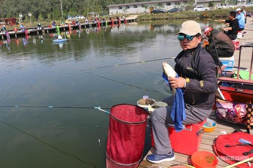 鯽魚不要一直釣底，遇到這三種情況，釣浮才能有個好的漁獲