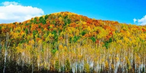 國內旅遊那些出名的打卡地