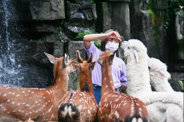 元旦最強攻略出爐！小眾美景、愜意度假、全家出遊都有，拿走去耍