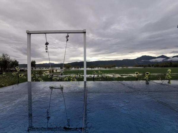 拍照勝地—拉市海湖濱公園（阿鄉哥）